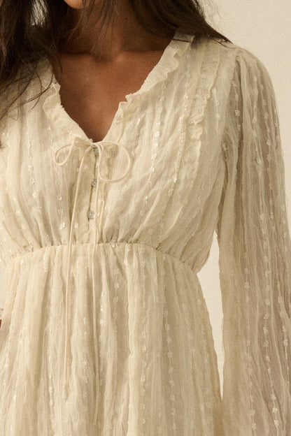 Angelic Beauty Embroidered Chiffon Mini Dress