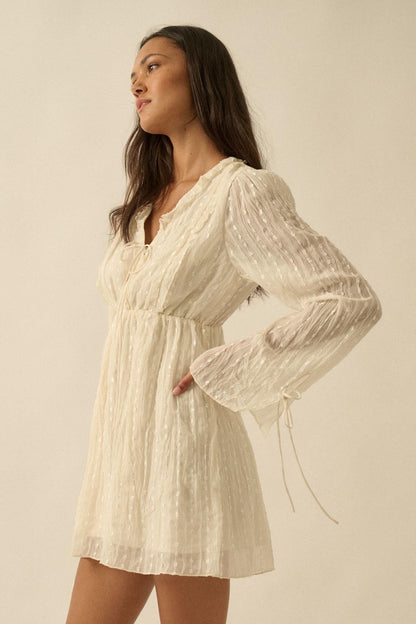 Angelic Beauty Embroidered Chiffon Mini Dress