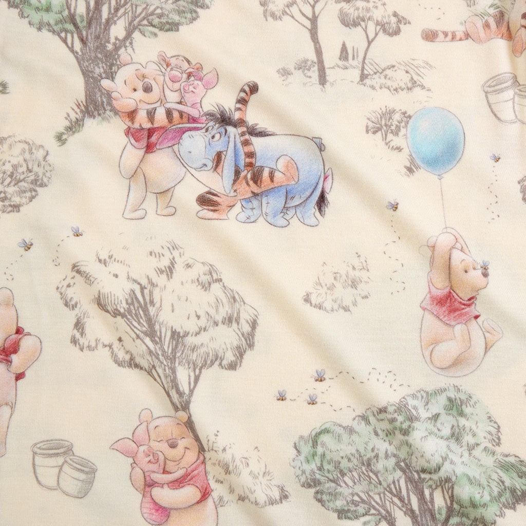 Disney Hundred Acre Wood Bib Set